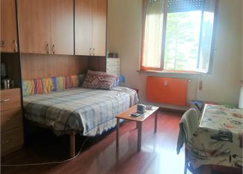 NOVARA - AMPIO MONOLOCALE